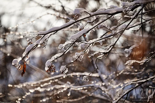 В Кузбассе 4 марта вновь похолодает до -25