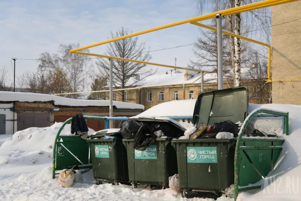 В Кемерове в новогодние праздники мусор будут вывозить в усиленном режиме