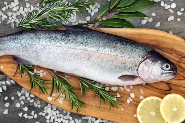 Рыбный форум: производство аквакультуры в 2025 году достигнет 390 тысяч тонн