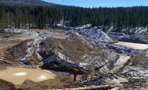 В Кузбассе суд приостановил деятельность золотодобывающей компании