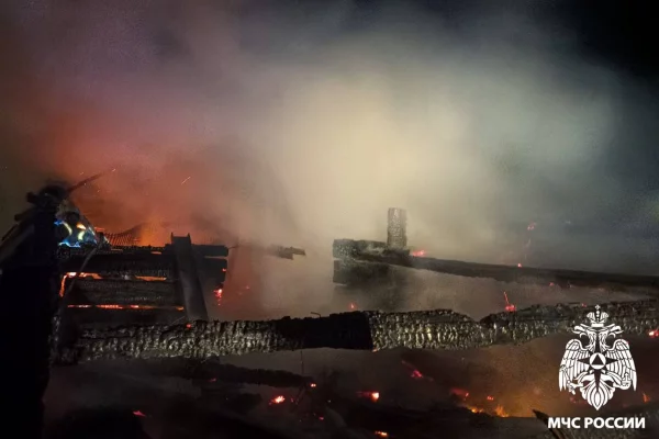 40 кур заживо сгорели на пожаре в Кузбассе