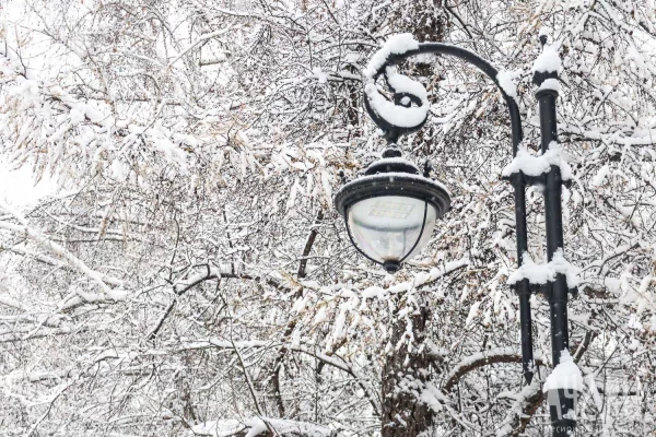 Синоптики: в Кузбассе 11 февраля температура поднимется до +9