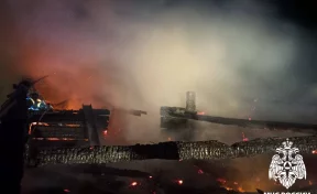 40 кур заживо сгорели на пожаре в Кузбассе