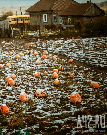 Не лениться и не надевать чужую обувь: народные приметы на 4 октября