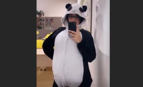 Кемеровская учительница пришла на урок в костюме панды