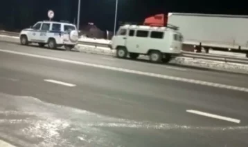 Фото: На кузбасской трассе в -30 градусов заглохла машина: как спасали водителя и пассажиров 1