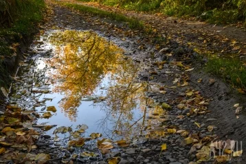 Фото: Местами дождь, мокрый снег, гроза: прогноз на 29 сентября в Кузбассе 1