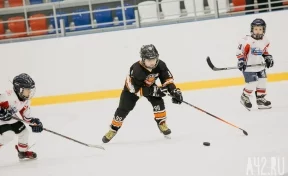 Семилетние хоккеисты из Кемерова взяли серебро на домашнем турнире