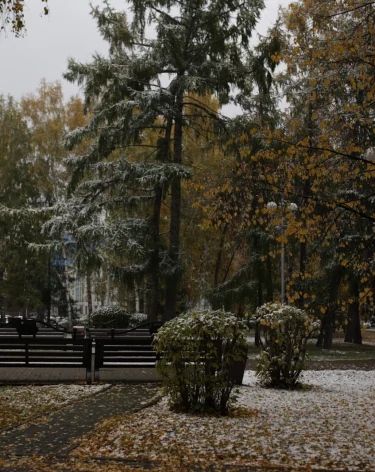 Мокрый снег накроет Кузбасс 27 октября