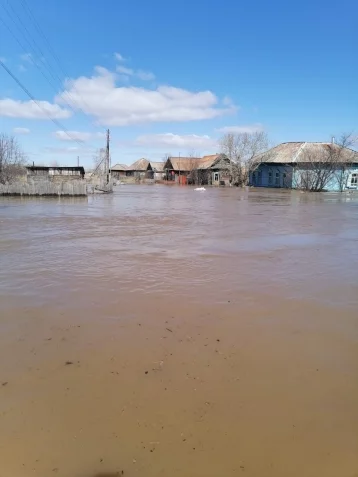 Фото: Спасатели показали кадры из затопленной деревни в Чебулинском округе 2