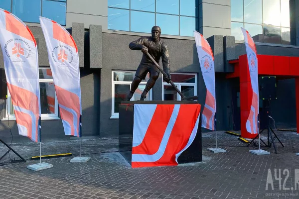 Житель Новокузнецка пожаловался губернатору на подорожавшие билеты на хоккей