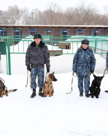 Фото: <a href=https://42.fsin.gov.ru/news/detail.php?ELEMENT_ID=861969>ГУФСИН по Кемеровской области</a>