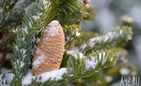 В Гидрометцентре предупредили о сильных морозах в некоторых регионах России