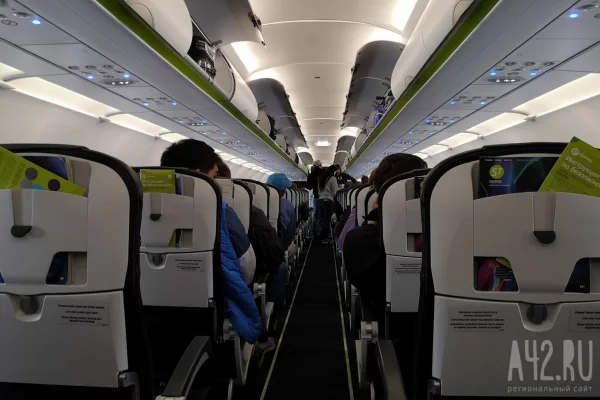 В РФ расширят перечень предметов для бесплатной перевозки в самолётах