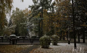 Мокрый снег накроет Кузбасс 27 октября