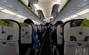 В РФ расширят перечень предметов для бесплатной перевозки в самолётах