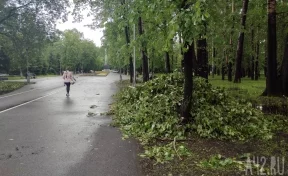 В Новокузнецке более 3 тысяч домов на время остались без света из-за грозы