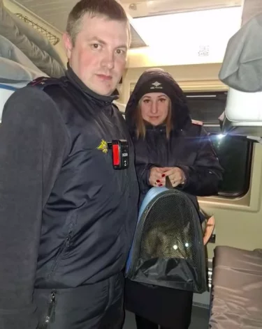 Пропавшего по дороге в Казань кота Федоса нашли на Дальнем Востоке