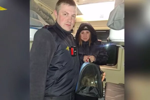 Пропавшего по дороге в Казань кота Федоса нашли на Дальнем Востоке