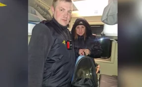 Пропавшего по дороге в Казань кота Федоса нашли на Дальнем Востоке