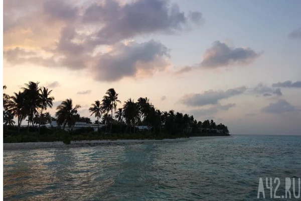 Блогера из Нижнего Новгорода нашли мёртвым в арендованной комнате на Гоа