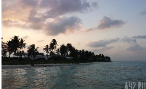 Блогера из Нижнего Новгорода нашли мёртвым в арендованной комнате на Гоа