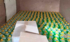В Ульяновской области полиция изъяла 7 000 литров опасной жидкости на основе метанола