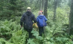В Кузбассе мужчина и женщина ушли в лес и потерялись: их нашли спасатели