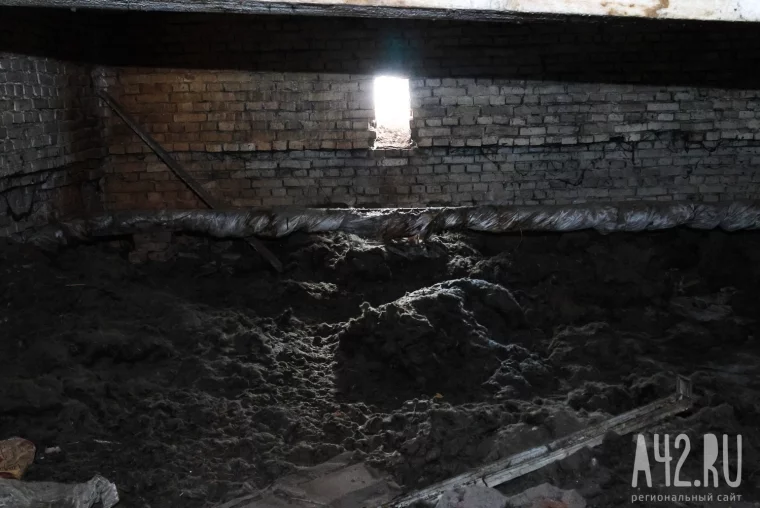 Фото: Мёртвые котята, остывшие батареи и угрозы дворнику ножом: как живут в кемеровском общежитии в Кировском районе 55