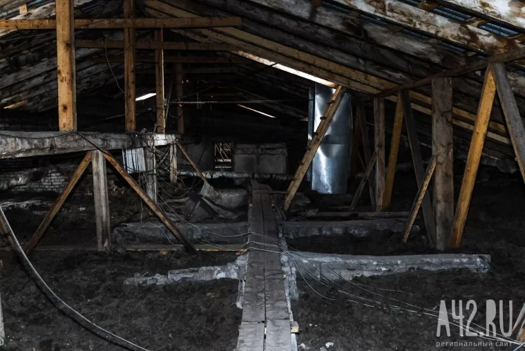 Фото: Мёртвые котята, остывшие батареи и угрозы дворнику ножом: как живут в кемеровском общежитии в Кировском районе 56