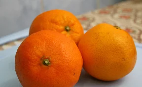 Рыба и мандарины: в Кузбассе задержали похитительницу товаров к новогоднему столу 