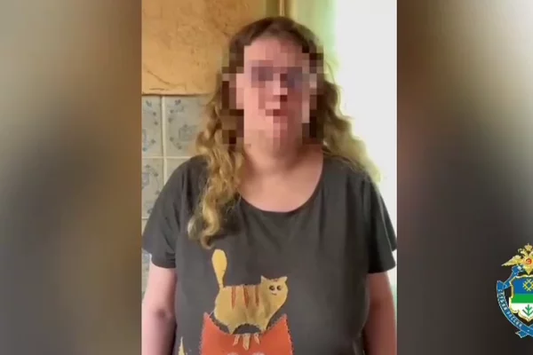 Во Владимирской области экс-учительница создала мошеннический сайт интим-услуг