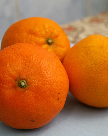 Рыба и мандарины: в Кузбассе задержали похитительницу товаров к новогоднему столу 