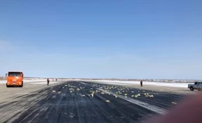 В Якутии самолёт Ан-12 засыпал взлётную полосу слитками