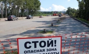 «Будут высажены новые липы»: Илья Середюк успокоил кемеровчан, возмутившихся вырубкой деревьев на Красноармейском мосту