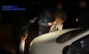 Банда торговцев снабжала наркотиками Кузбасс и Томскую область: суд вынес приговор