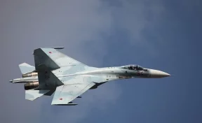 Опубликовано видео перехвата шведского самолёта-разведчика российским Су-27