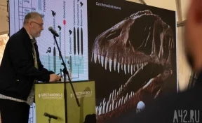 125 миллионов лет и один день сибирского пситтакозавра: как прошла «Динотерра» — 2023