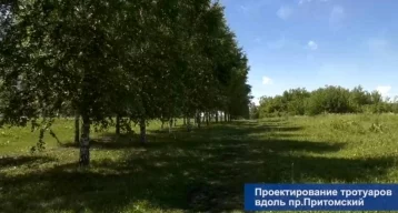 Фото: Илья Середюк показал на видео, где появятся новые пешеходные пути вдоль Притомского проспекта в Кемерове 1