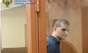 В Москве исполнителя теракта на Синявинской улице приговорили к 25 годам колонии
