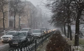 Мокрый снег пообещали кузбассовцам на 18 мая