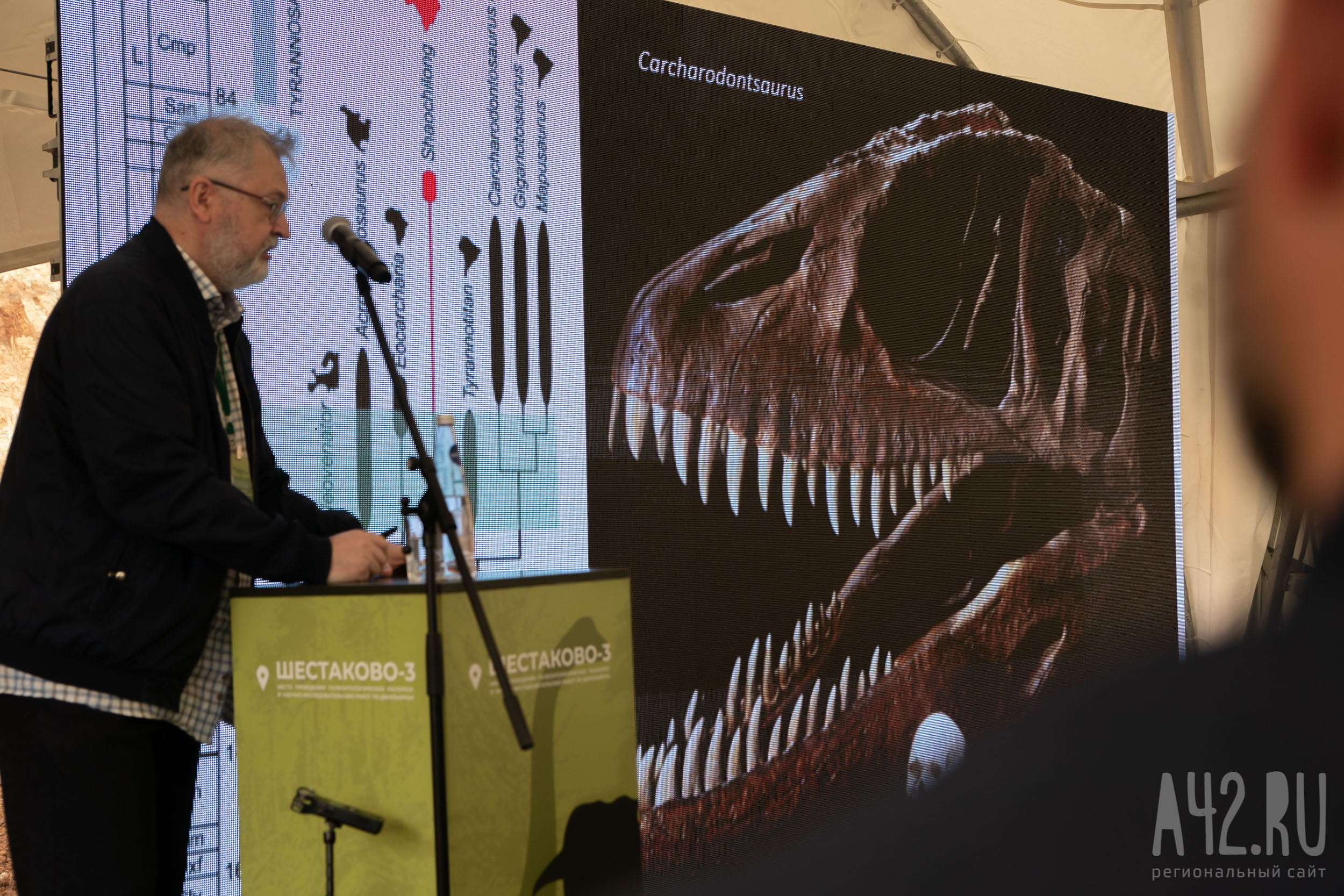 Ведущие учёные-палеонтологи будут исследовать обнаруженные в Кузбассе останки динозавра