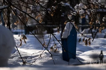 Фото: Соцсети: тополь рухнул на кладбище, повредив могилы в Кузбассе 1