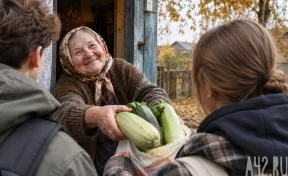 Кузбассовцам рассказали, кому отдать ненужный урожай кабачков и яблок
