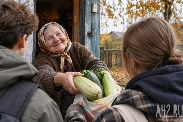Кузбассовцам рассказали, кому отдать ненужный урожай кабачков и яблок