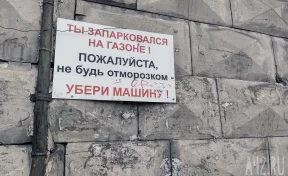 В Кузбассе установили новые штрафы за парковку на газонах и детских площадках