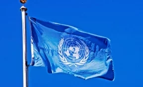 Россия наложила вето на резолюцию Совбеза ООН по химатаке в Сирии