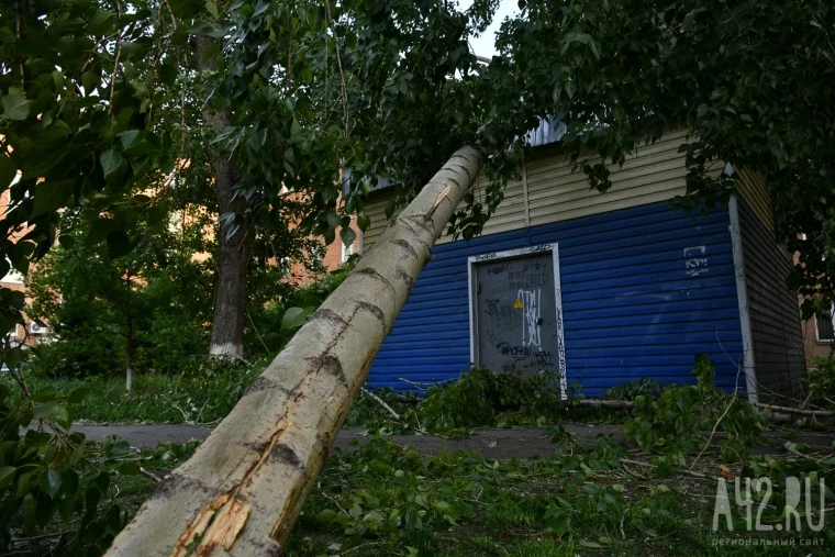Фото: Последствия штормового ветра в Кемерове 22