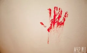 Подозреваемая в убийстве отца 15-летняя девочка заступилась за старшую сестру