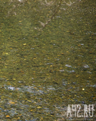 Кузбассовец пожаловался на уничтожение памятников истории золотодобытчиками